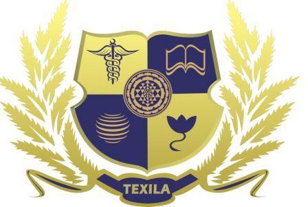 TAU - Texila American University logo